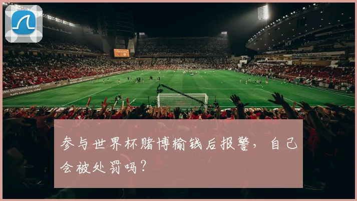 参与世界杯赌博输钱后报警，自己会被处罚吗？