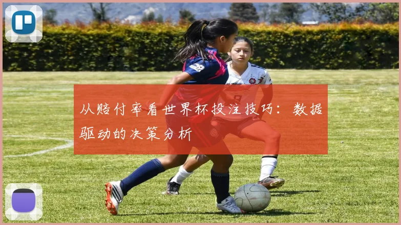 从赔付率看世界杯投注技巧：数据驱动的决策分析