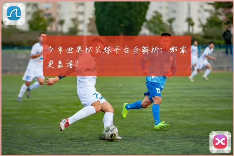 今年世界杯买球平台全解析：哪家更靠谱？