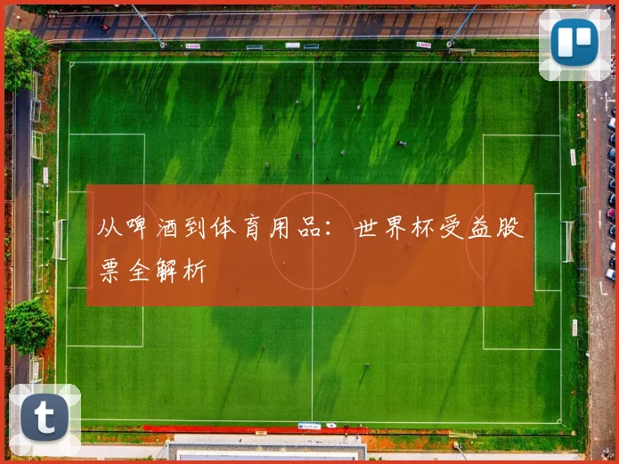 从啤酒到体育用品：世界杯受益股票全解析